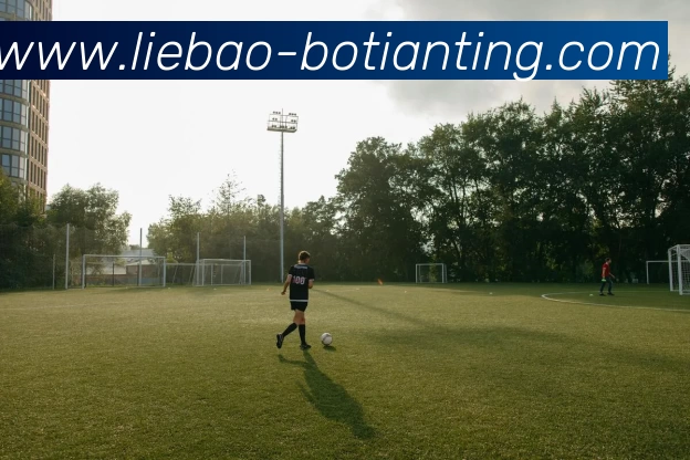 博天堂发展历程